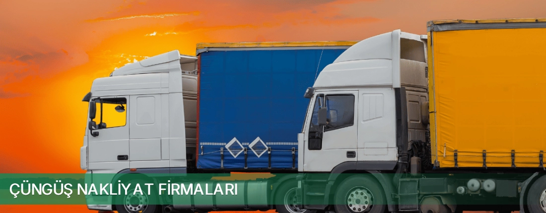 Çüngüş Nakliyat Taşımacılık